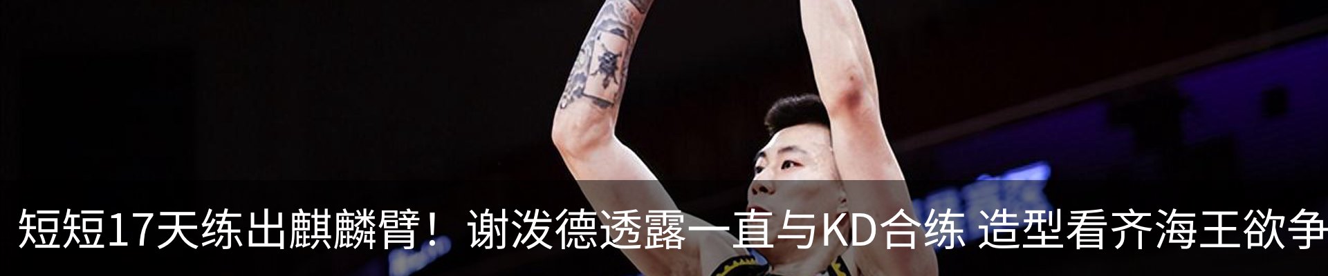 新闻动态