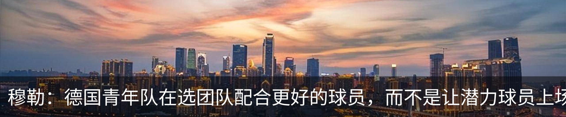 新闻动态