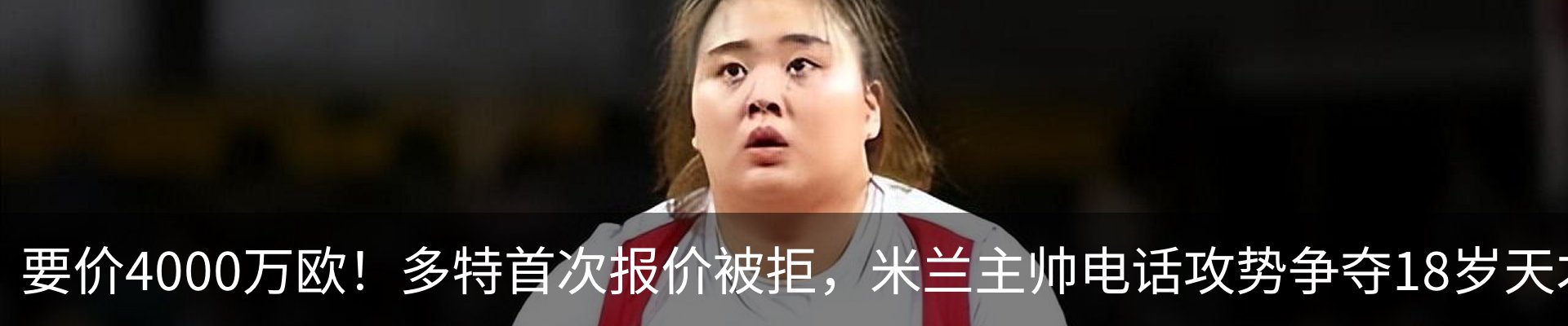 新闻动态