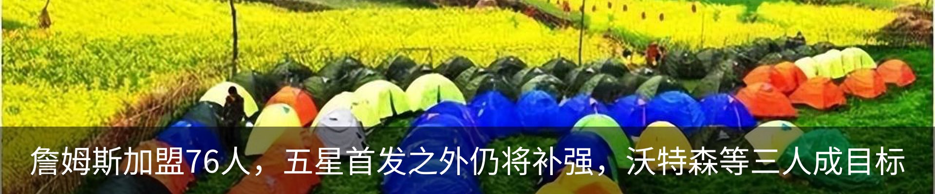 新闻动态
