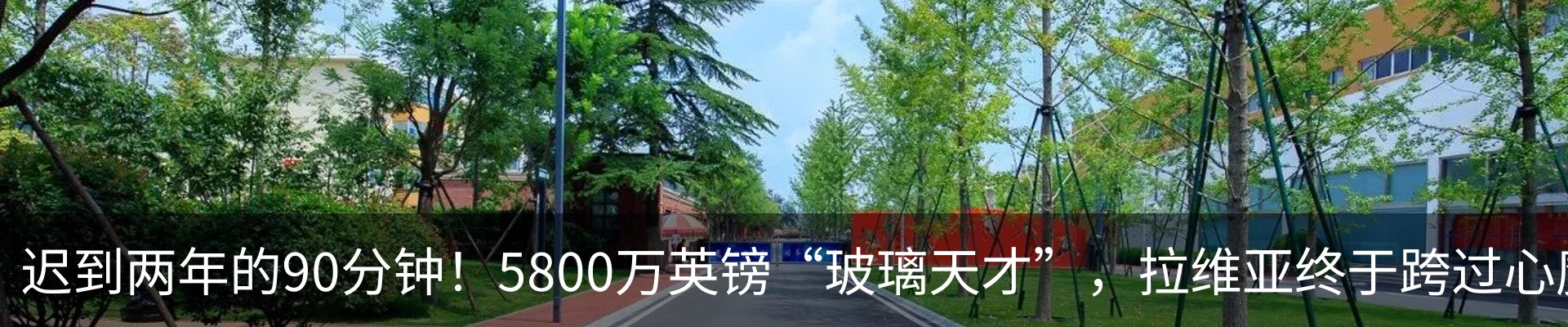 新闻动态